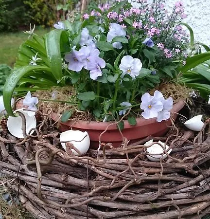 Am Wald Guest house
