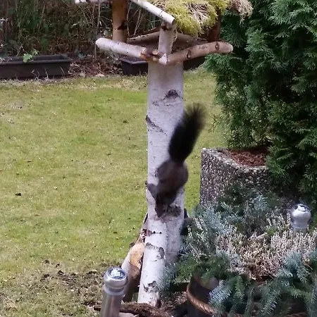 Am Wald 3* Ottobrunn