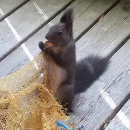 Am Wald 3* Ottobrunn